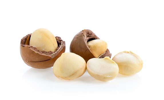 Macadamia nuts isolated on white background.