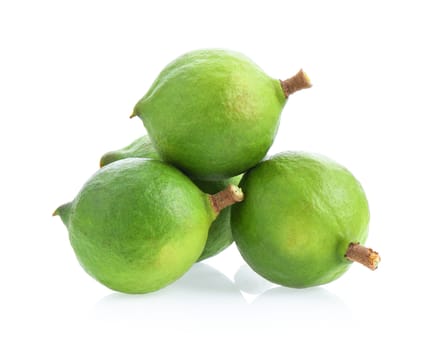 fresh macadamia nuts isolated on white background.
