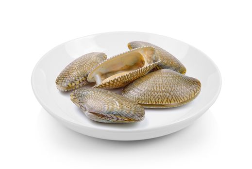 Surf clam in plate on white background