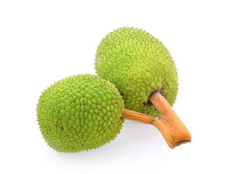 breadfruit isolated on white background