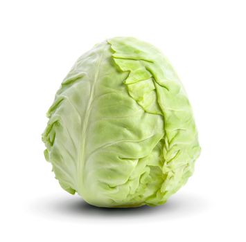 green cabbage isolated on white background