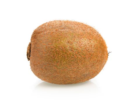 kiwi fruit on white background