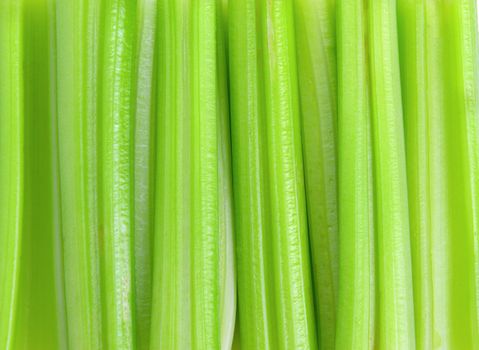 fresh celery background