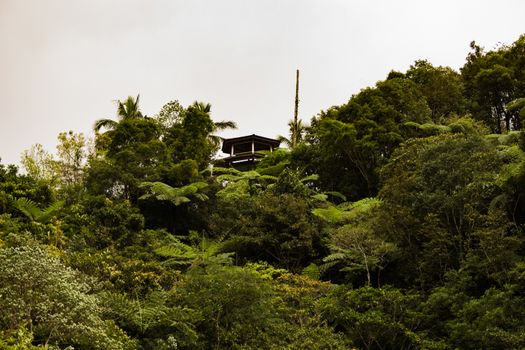 Two identical mountain lakes that are on top of the mountains on the island of Negros. Fog.