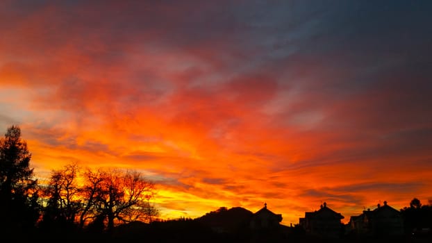 Yellow and orange clouds on the evening sky over forest and buildings.