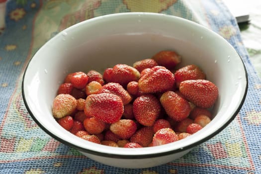 large red fragrant garden strawberry in a plate