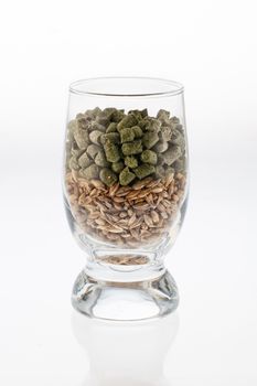 Glass with a malt and a hop on an isolated studio background
