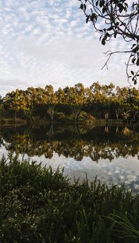 Beautiful lake in Springfield Lakes, Ipswich City, Queensland in the morning.