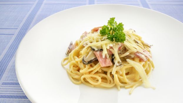 Spaghetti carbonara with bacon, mushroom and cheese on white dish