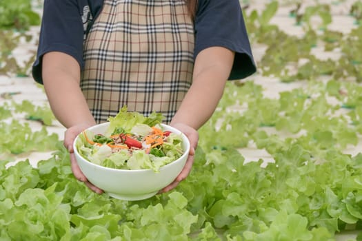 fresh organic salad with tuna in white bowl in farm