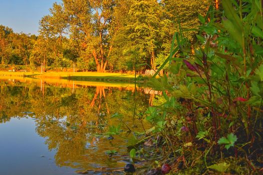 Summer landscape at sunset. The pond during golden hour.  Czech Republic, Europe. 