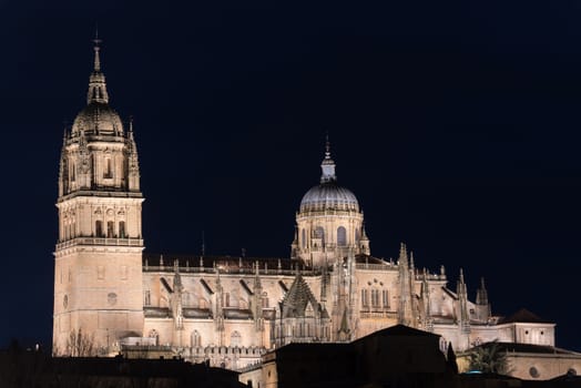 Night view of Salamanca Cathedral, Salamanca, Spain.