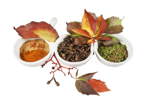 Autumn spices and leafs over white isolated background