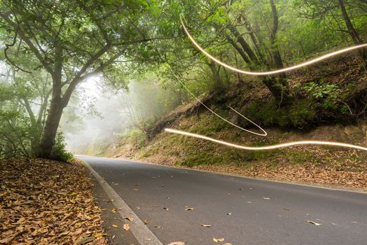 Road in the magic forest, light trails through the myst, fairy tale scenary version 1.