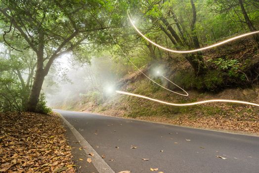 Road in the magic forest, light trails through the myst, fairy tale scenary, version 2.
