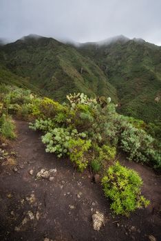 Anaga mountains in Tenerife island, Canary islands, Spain.