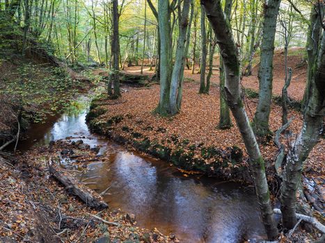 Scenic View of the Ashdown Forest in Sussex