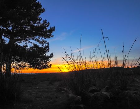 Sunset over the Ashdown Forest in Sussex