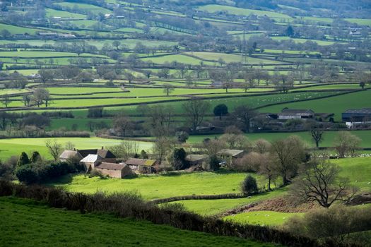 Scenic View of the Undulating Countryside of Somerset