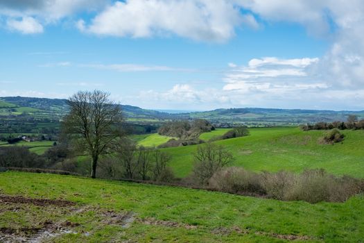 Scenic View of the Undulating Countryside of Somerset