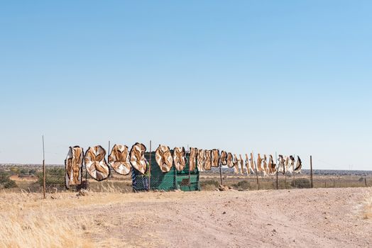 Carpets made from springbok hide for sale next to the B1-road between Kalkrand and Rehoboth