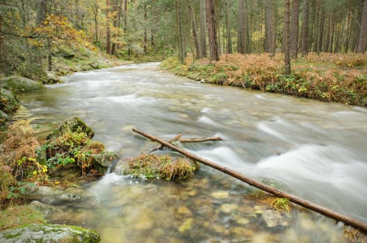 Scenic view of a river in the forest in Boca del Asno natural park on a rainy day in Segovia, Spain.