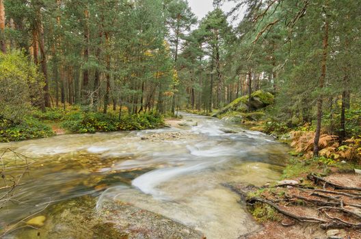 Scenic view of a river in the forest in Boca del Asno natural park on a rainy day in Segovia, Spain.