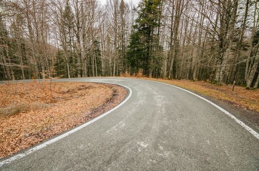 Mountain road in fall season.