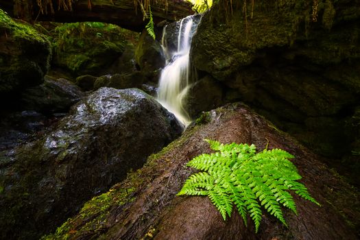 A Small Waterfall in the Mountains of California, Color Image