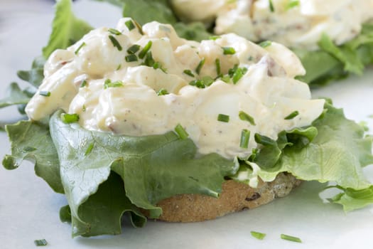 Egg Salad Sandwich close up.
