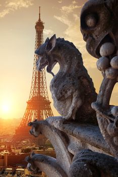 Chimeras on Notre Dame de Paris and Eiffel Tower, France