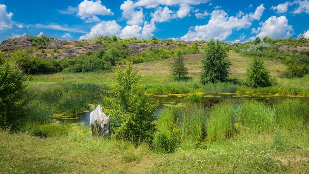 Panoramic view of deep granite Aktovo canyon with river and cloudy sky, One of the natural wonders of Ukraine.