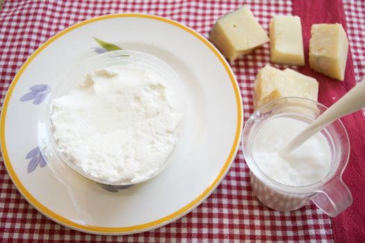 fresh italian ricotta cheese in a plastic mould on a dish