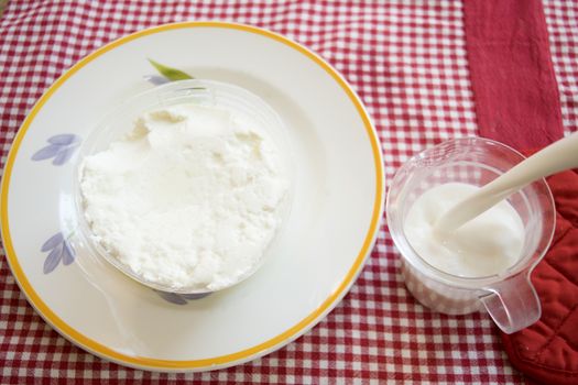 fresh italian ricotta cheese in a plastic mould on a dish