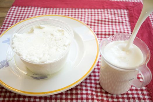 fresh italian ricotta cheese in a plastic mould on a dish