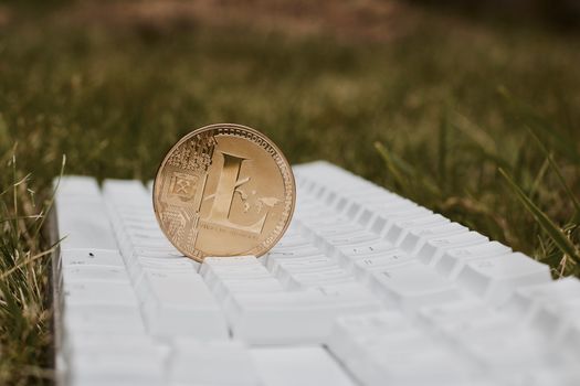 Digital currency physical gold litecoin coin on white keyboard near small insect.