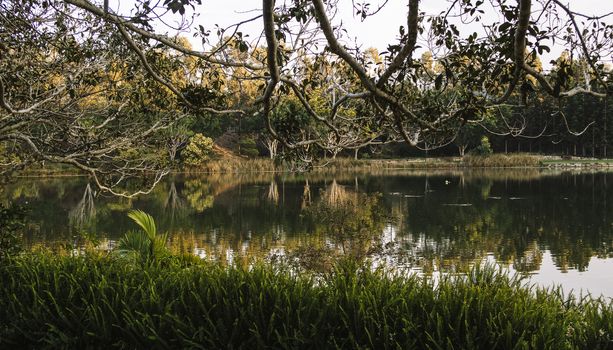 Beautiful lake in Springfield Lakes, Ipswich City, Queensland in the morning.