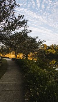 Beautiful lake in Springfield Lakes, Ipswich City, Queensland in the morning.