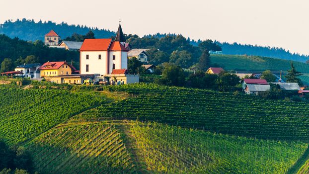 Vineyards with small village in Ritoznoj, Slovenia, small Christian church on top of the hill, surrounded with rows of grape vine, traditional winery on Pohorje wine road
