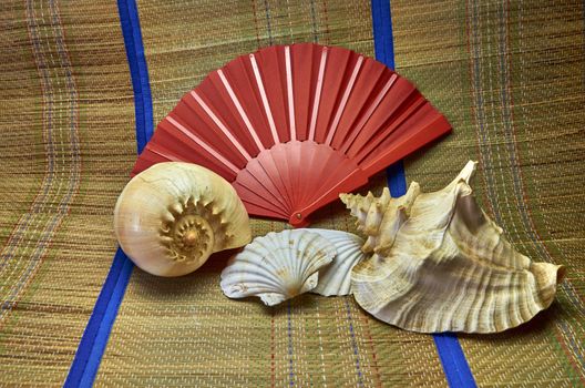 Sea shells on a beach mat with a fan