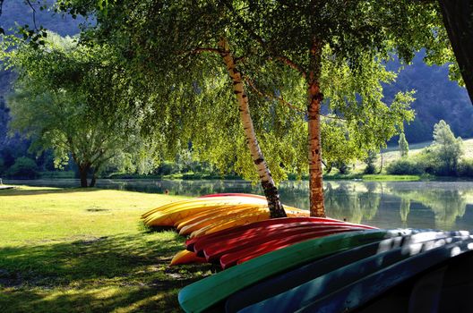 Swamp of Oliana River Segre