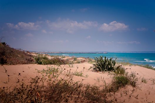 Natural Park of Guardamar del Segura in Alicante Coastal town