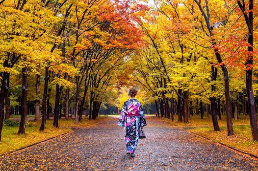 Asian woman wearing japanese traditional kimono in autumn park.