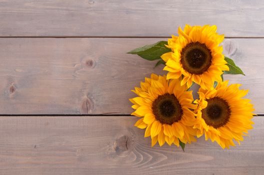Summer sunflowers on a wooden background with space