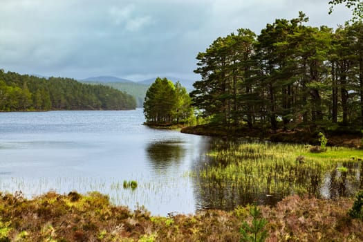 Scenic View of Loch Eilein