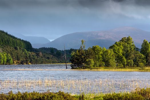 Loch Garten