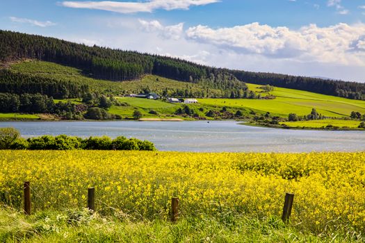 Arable Farming Field near Munlochy Bay