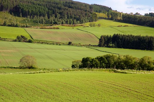 Arable Landscape near Drumderfit