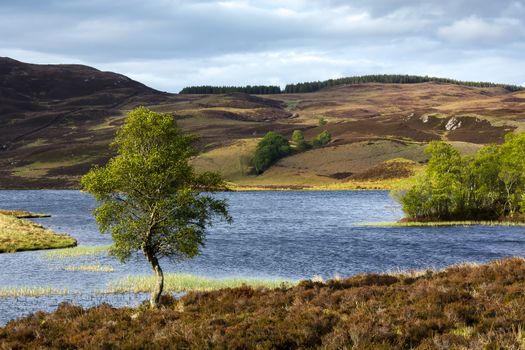 Loch Tarff