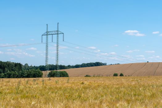 High voltage power lines above wheat field.